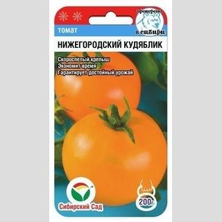 Томат Нижегородский кудяблик