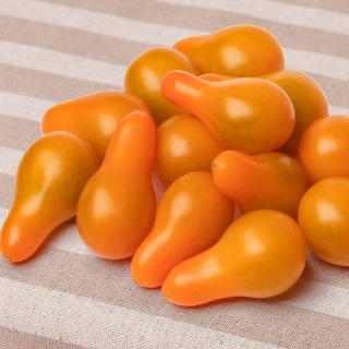 Томат Оперино F1