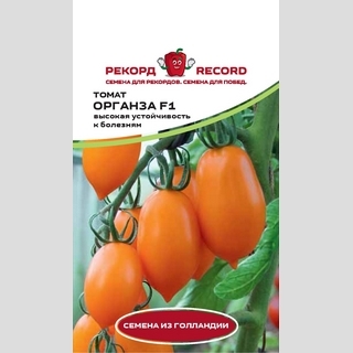 Томат Органза F1 (Monsanto Ip Management B.V.)