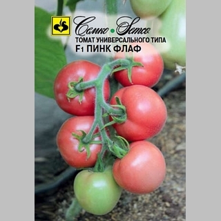 Томат Пинк Флаф  F1 (опушенный)