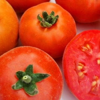 Томат Пинк Флаф  F1 (опушенный)