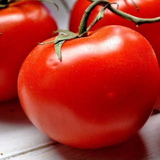 Томат Прима Люкс F1