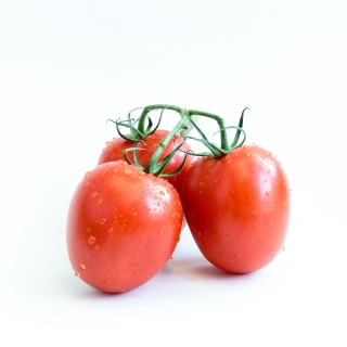 Томат Рио Гранде Итальянский (большой пакет)