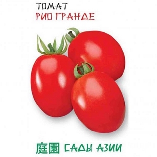 Томат Рио Гранде