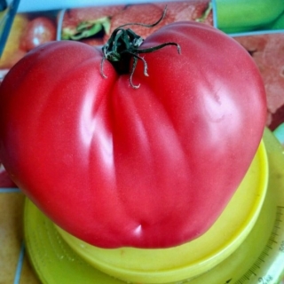 Томат Розовый мед