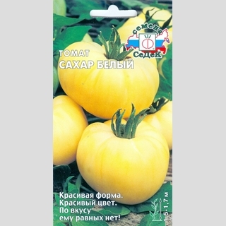Томат Сахар белый