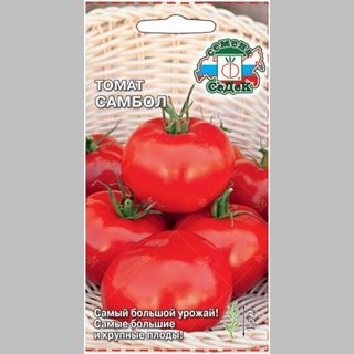 Томат Самбол
