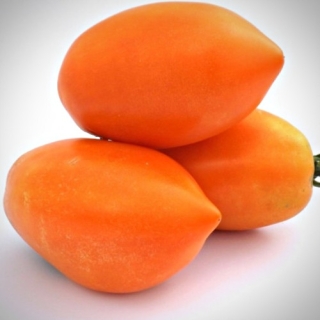 Томат Чиондоло Оранжевый