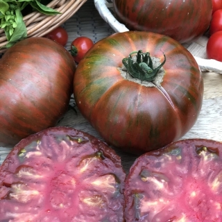 Томат Шоколадный пончик