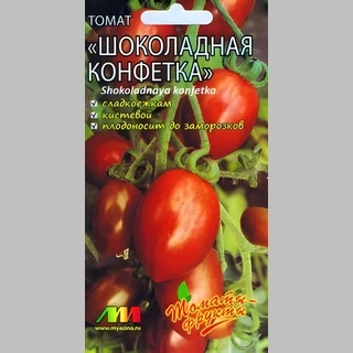 Томат Шоколадная конфетка