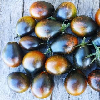 Томат Синие ключи