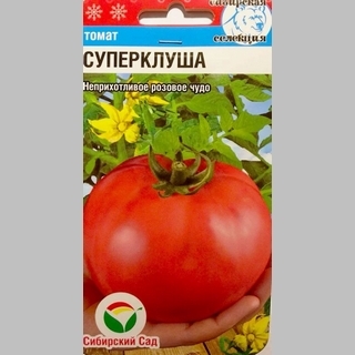 Томат Суперклуша