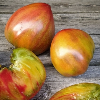 Томат Тайга (трехцветный)