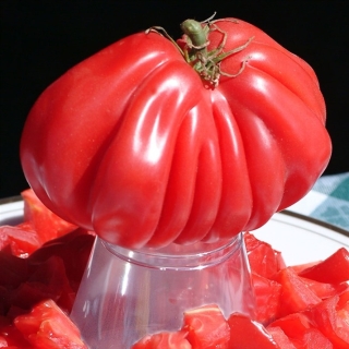 Томат Тлаколула