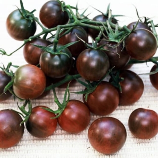 Томат Вишня в Шоколаде