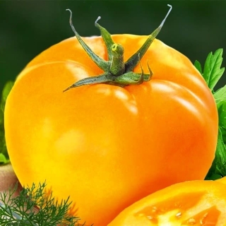 Томат Вкусносоковый Желтый