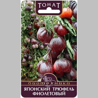 Томат Японский трюфель Фиолетовый