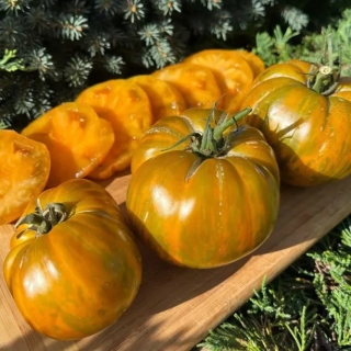 Томат Зебра желтая