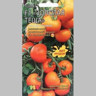 Томат Золотая теща F1