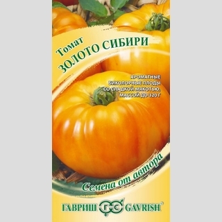 Томат Золото Сибири