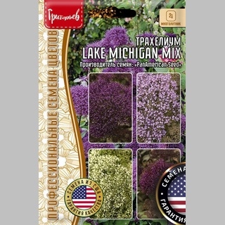 Трахелиум Lake Michigan Mix (большой пакет)