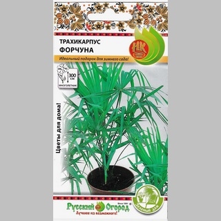 Трахикарпус Форчуна