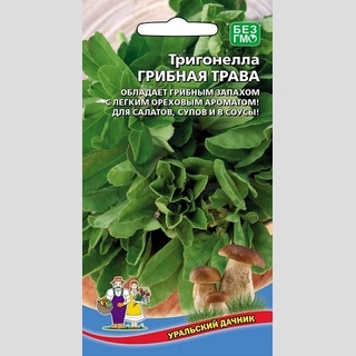 Тригонелла Грибная Трава