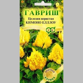 Целозия Кимоно Еллоу