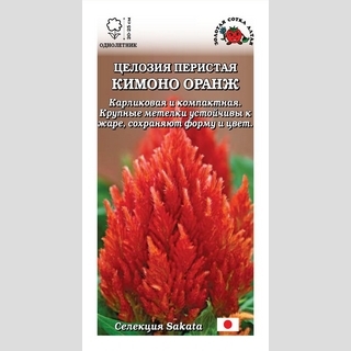 Целозия Кимоно Оранж