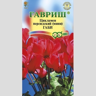 Цикламен Габи персидский