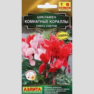 Цикламен Комнатные кораллы смесь