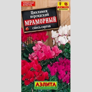 Цикламен Мраморный персидский смесь сортов