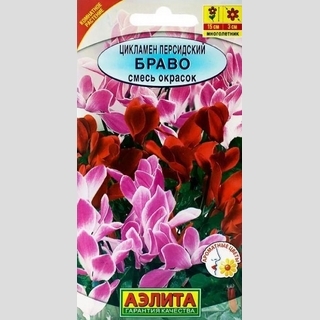 Цикламен Браво персидский смесь окрасок