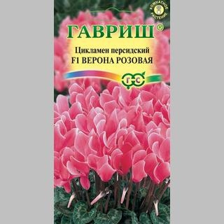 Цикламен Верона розовая F1