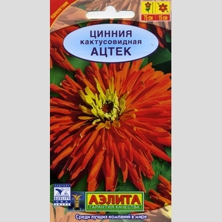 Цинния Ацтек