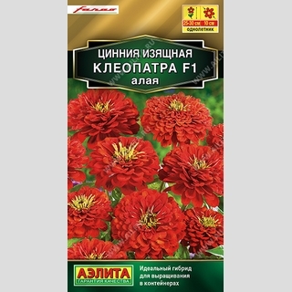 Цинния Клеопатра F1 алая