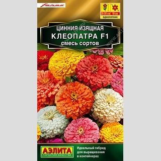 Цинния Клеопатра F1, смесь сортов