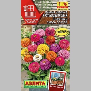 Цинния Крупноцветковая, смесь сортов