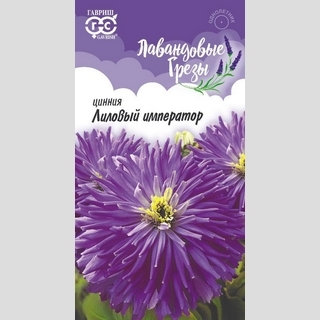 Цинния Лиловый император