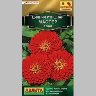 Цинния Мастер Алая