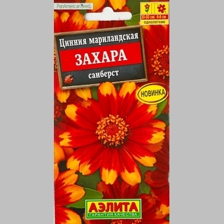 Цинния Захара Санберст