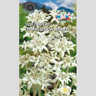 Эдельвейс Принцесса Альп