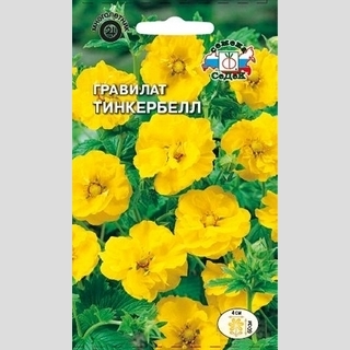 Гравилат Тинкербелл (чилийский жёлтый)