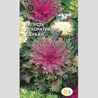 Капуста Канкан