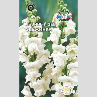 Львиный зев Снежинка (Антирринум)