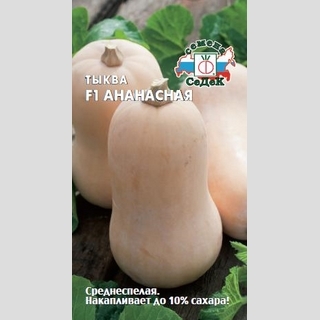 Тыква Ананасная F1