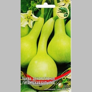 Тыква декоративная Гигантская бутылка (лагенария)