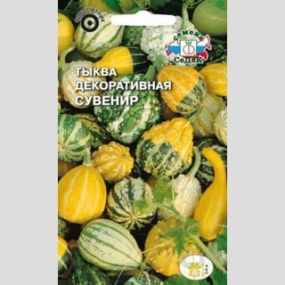 Тыква Сувенир декоративная смесь сортов