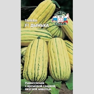 Тыква Дынька F1