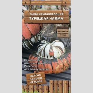 Тыква Турецкая чалма